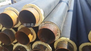 dn600 寧德國標聚氨酯直埋保溫管廠家