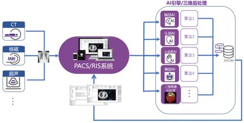 沈陽市第六人民醫院 構建智能化影像診斷體系，讓醫療服務更精準、更高效
