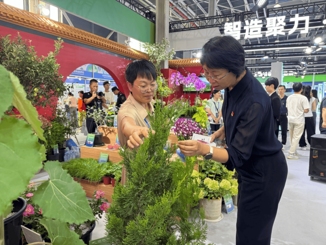 北京市統計局局長李素芳赴通州調研種業與現代農業發展，強調科技賦能與數據支撐